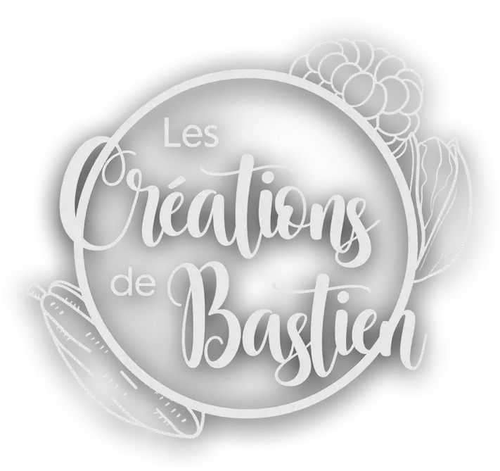LES CREATIONS DE BASTIEN